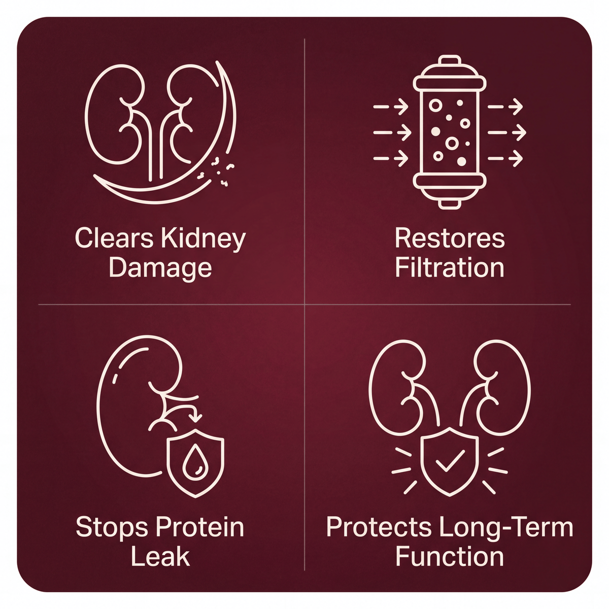 Organic Pomegranate Extract + Urolithin A Capsules